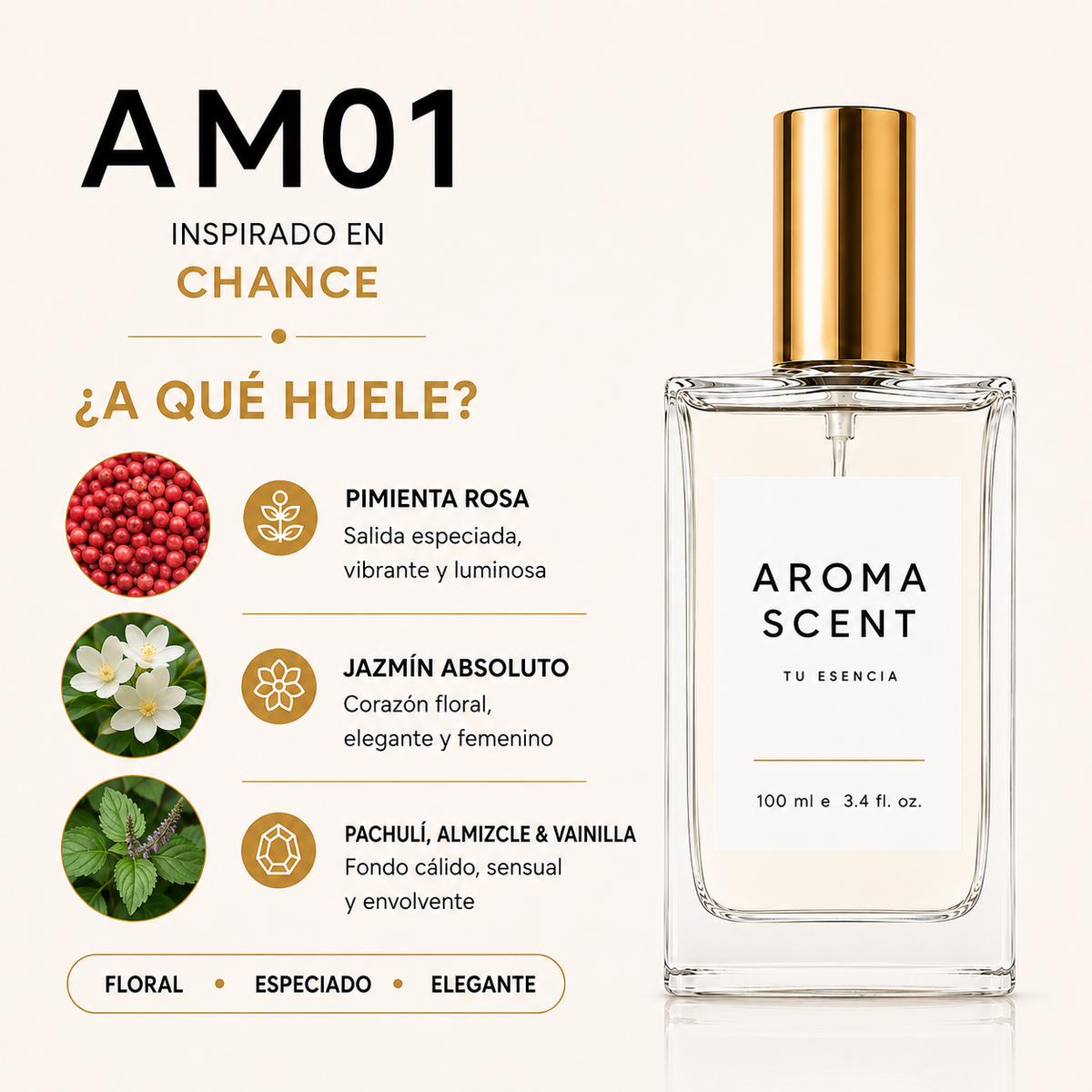 AM01 - INSPIRADO CHANCE CHANEL- MUJER