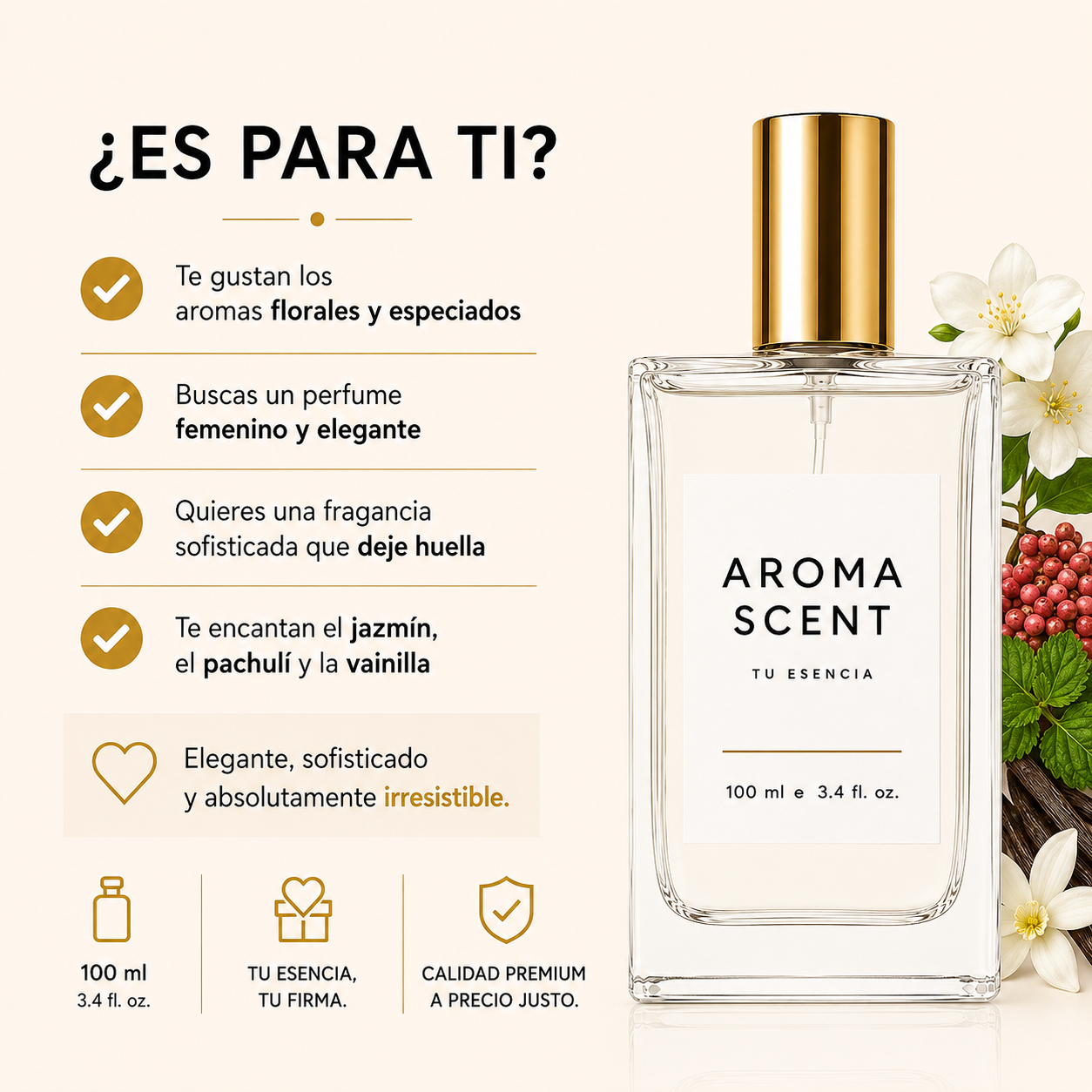 AM01 - INSPIRADO CHANCE CHANEL- MUJER